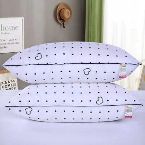 2 in 1 Pillow